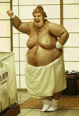 le copain Sumo deLulu...